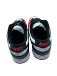 Dunk Low EMB NBA 75th Anniversary Chicago